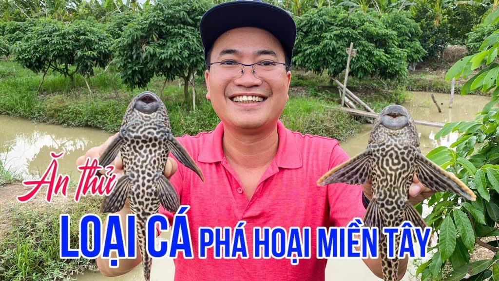 Khám phá cuộc sống Đảo Đài Loan và món ngon từ loại Cá phá hoại nhất Việt Nam | DU LỊCH MIỀN TÂY