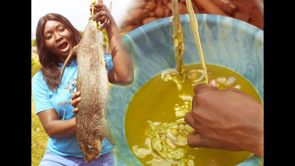 Bizarre African Food - GRASSCUTTER FAECES SOUP (Would You Try It?) | Travel and Food Africa
