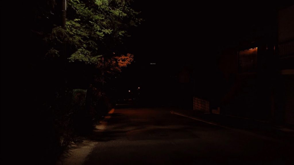 4K Ride&Walk around Tsukisamu Park at midnight | 真夜中の月寒公園 外周 Binaural ASMR