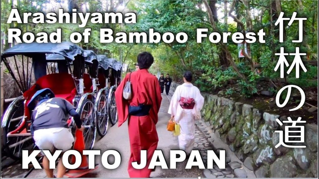 Kyoto, Arashiyama Road of Bamboo Forest - narrow path and many people [4K] POV
