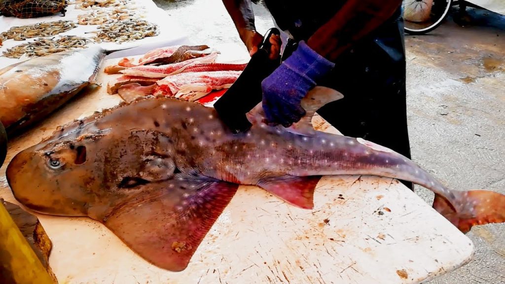 ZEBRA SHARK CUTTING | FISH CUTTING SRI LANKA