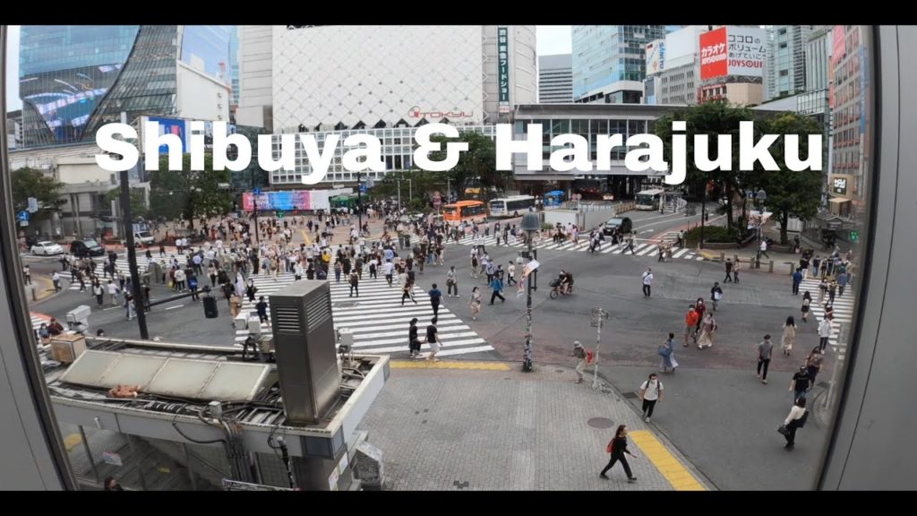 #6 Shibuya & Harajuku | Japan Travel Guide (2)