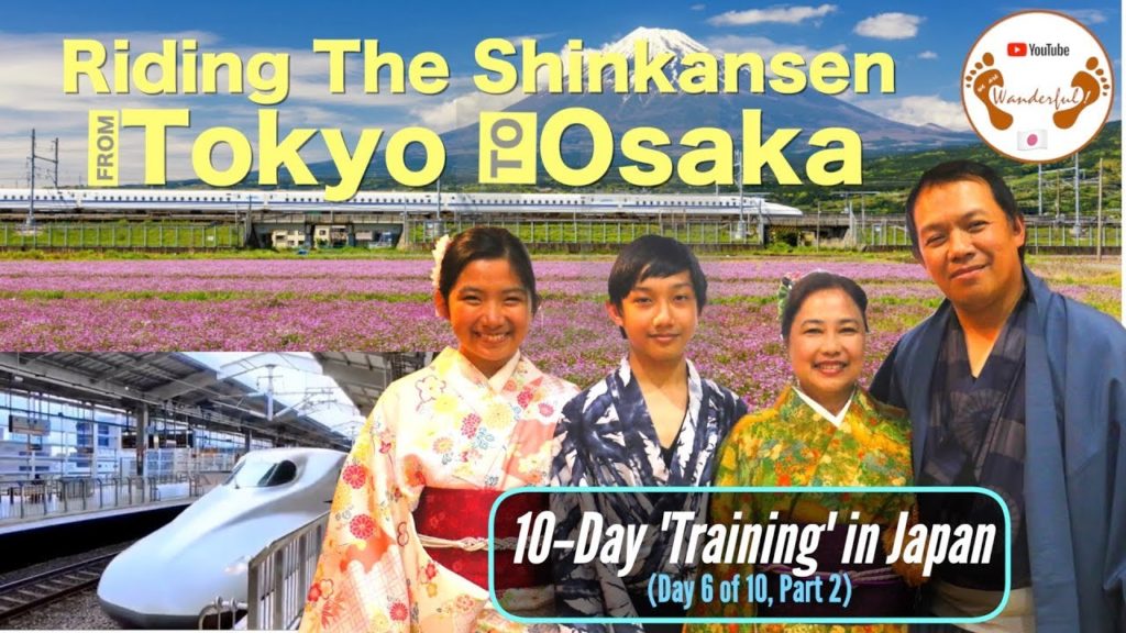 "Training" in Japan; Day 6, Part 2: Tokyo to Osaka via The Shinkansen | Japan | We.Are.Wanderful