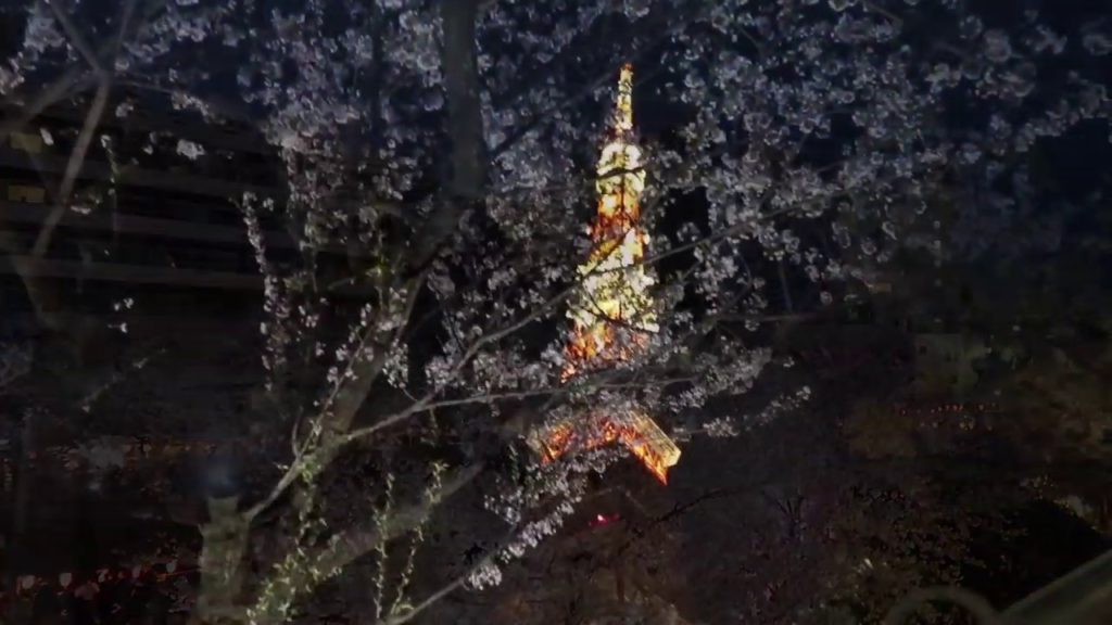 SPRING IN JAPAN: Mt. Fuji and Hanami 🌸