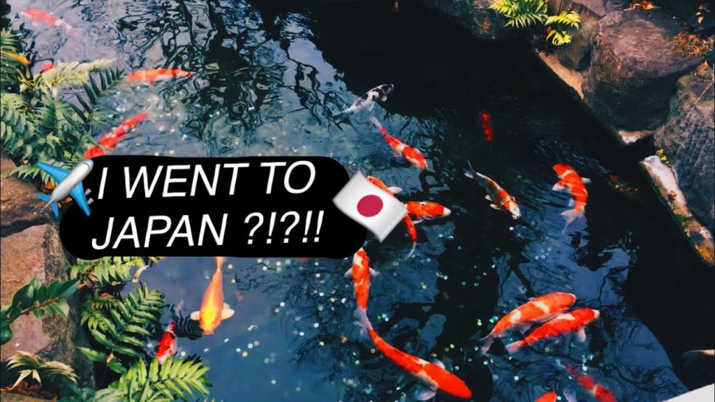 Japan Montage 2018 ✈️🇯🇵