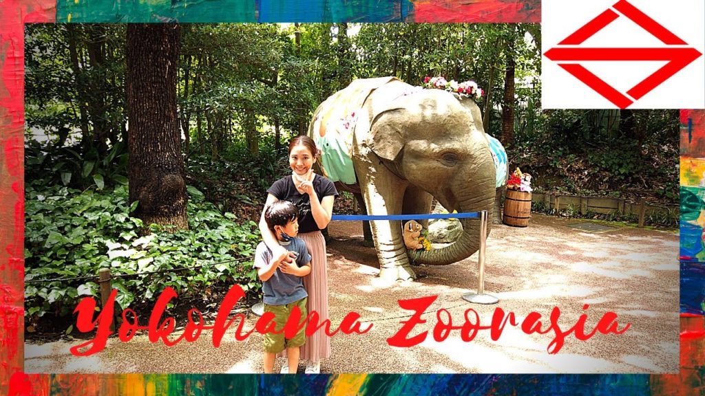 Yokohama Zoorasia #YokohamaTravelVlog in Japan 2020 🇯🇵 Yokohama Zoorasia #YokohamaTravelVlog in Japan 2020 🇯🇵