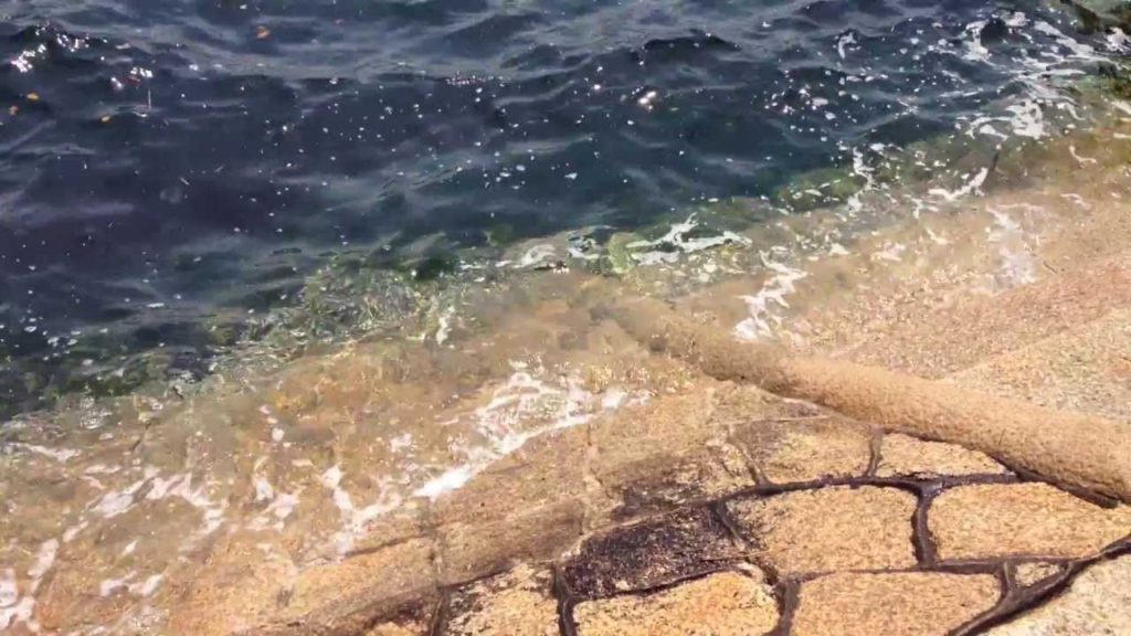 【レトロな若松】Walking along the Dokai，KITAKYUSHU-City－権蔵小屋