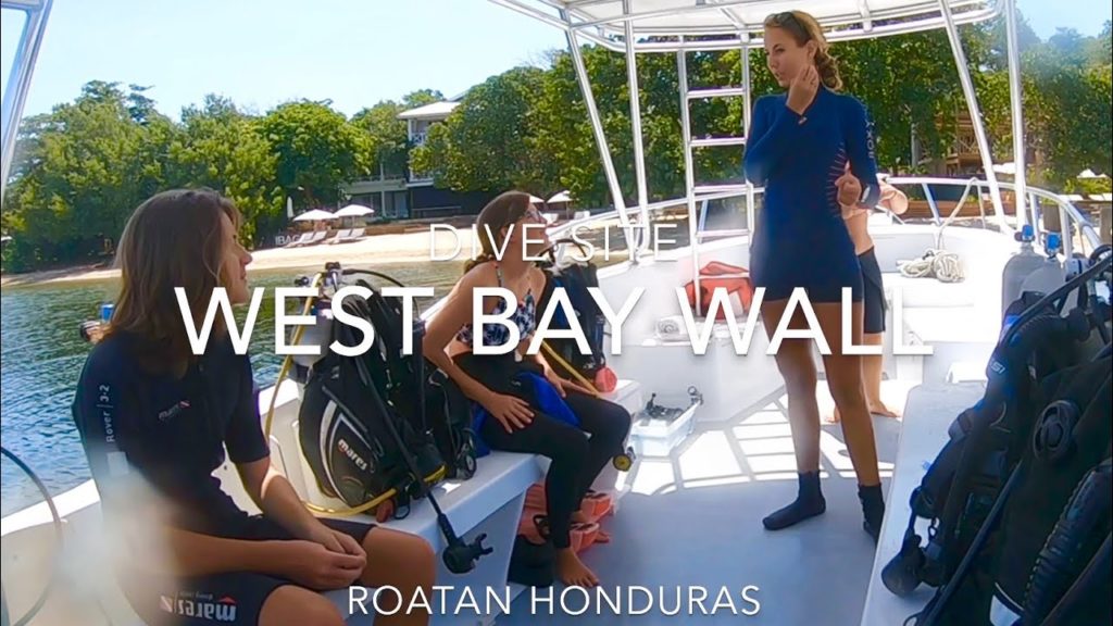 Scuba diving at the West Bay Wall, in Roatan Honduras.