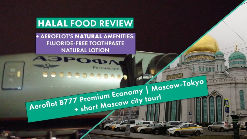 Aeroflot B777 Comfort Class | Moscow-Tokyo | HALAL Meal Review, NATURAL Amenities, + City Tour