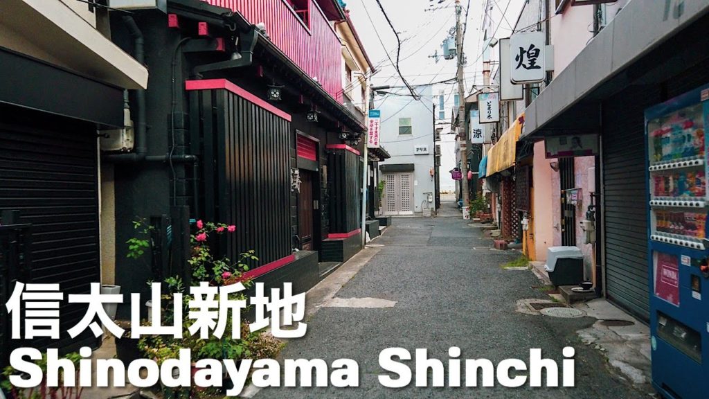 信太山新地周辺を散策 4K Shinodayama Shinchi Red Light District Japan