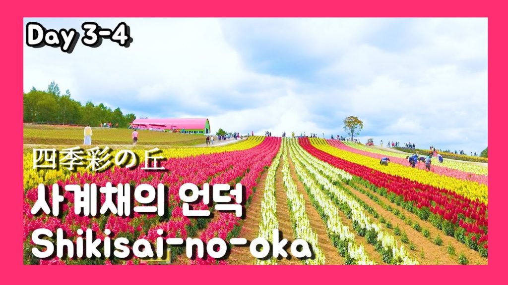 [여행vlog] 2019.7.3~7 홋카이도 여행 DAY.3-4 ️사계채의 언덕 / Shikisai-no-oka ✈️ Travel to Hokkaido, Japan ✈️ 北海道
