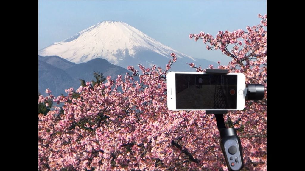 Smooth timelapse of Mt.Fuji & cherry blossoms by Zhiyun Smooth-Q stabilizer & iPhone