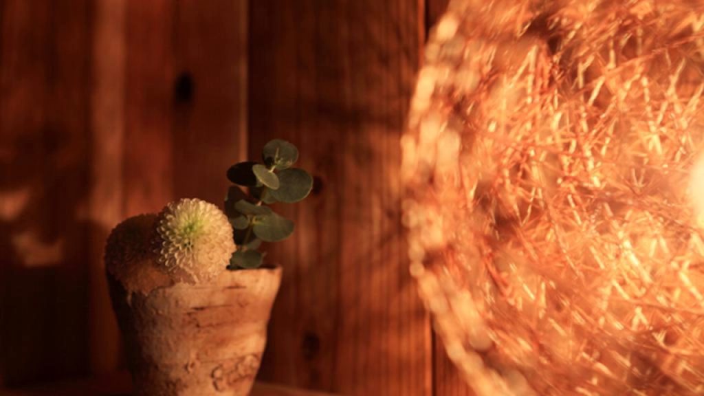 Guest House Sanjojuku - Kyoto - Japan