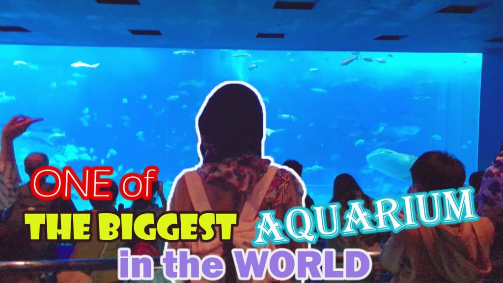 Okinawa Churaumi Aquarium in Japan