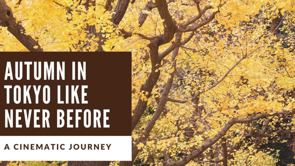 Experience Autumn In Tokyo Like Never Before