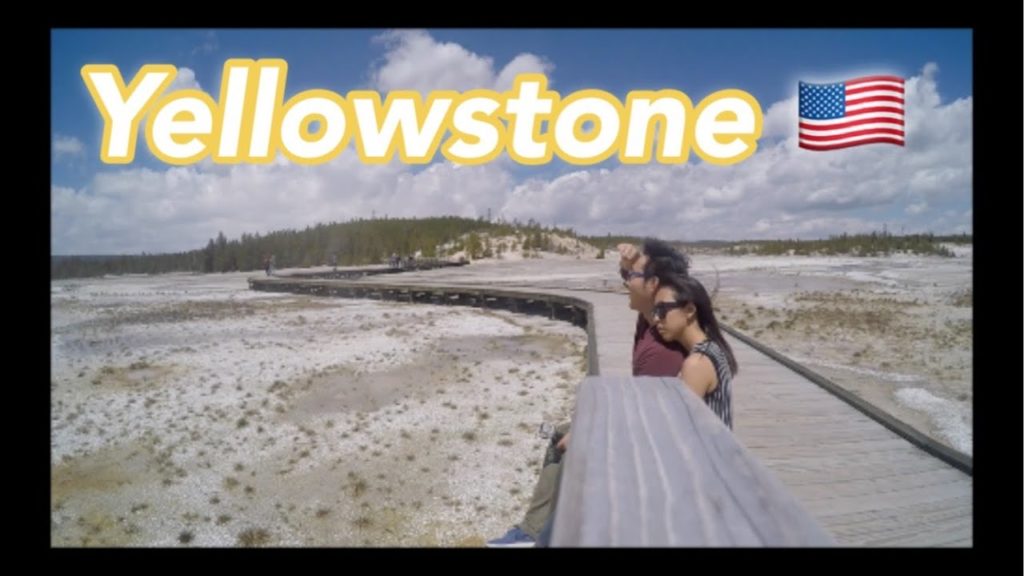 🇺🇸 Yellowstone National Park 5day Travel VLOG | Heavenly Scenes+Buffalos
