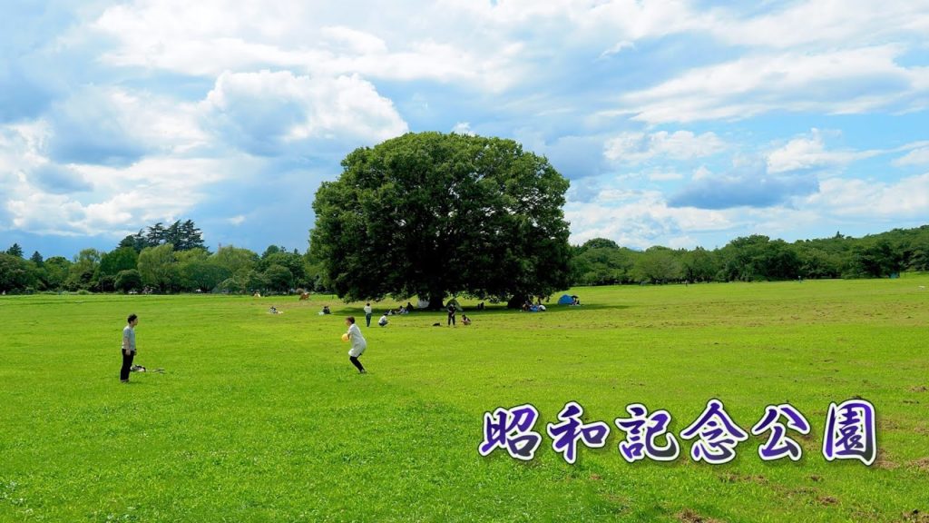 TOKYO. Showa Kinen Park during the rainy season. #4K #昭和記念公園