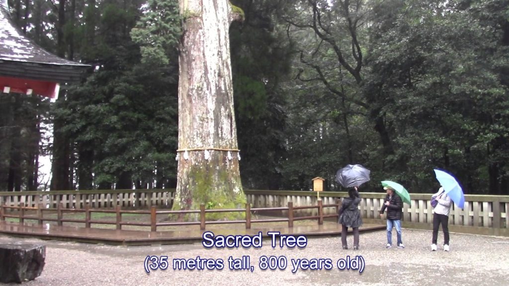 Kagoshima, Japan – Kirishima Shrine in the rain, March 31, 2017 / 雨の中の霧島神宮, 平成29年3月31日 Kagoshima, Japan - Kirishima Shrine in the rain, March 31, 2017 / 雨の中の霧島神宮, 平成29年3月31日
