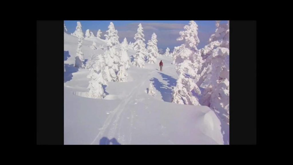 Simon's Powder Snow tour in Hakkoda Jan 2010