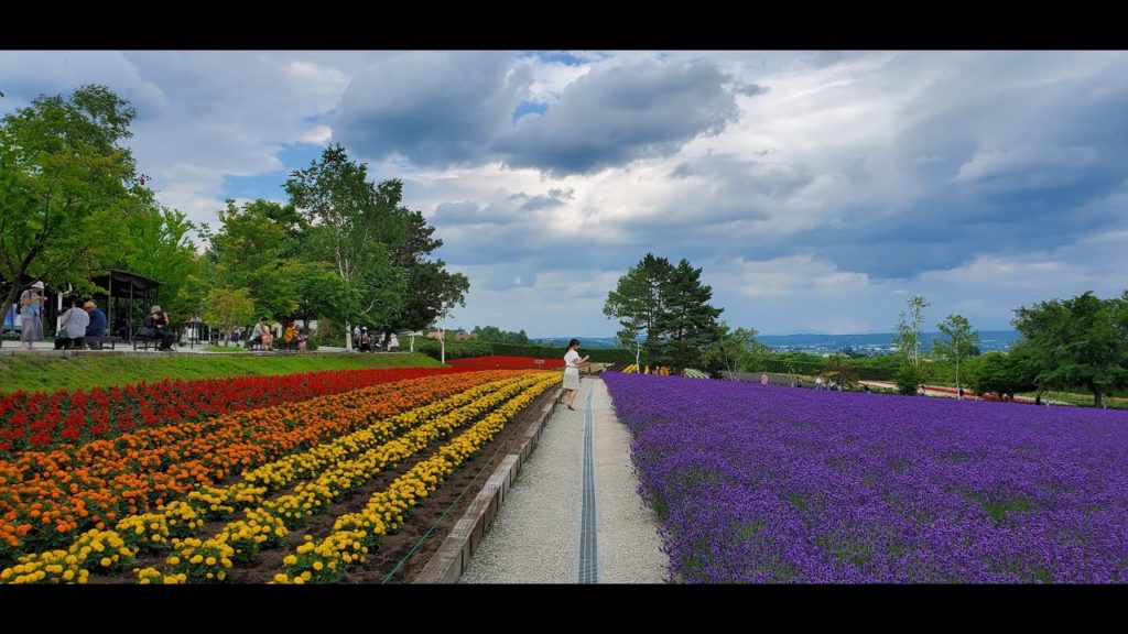 Beautiful 3 days in Hokkaido, Japan - Day 1 (Asahikawa)