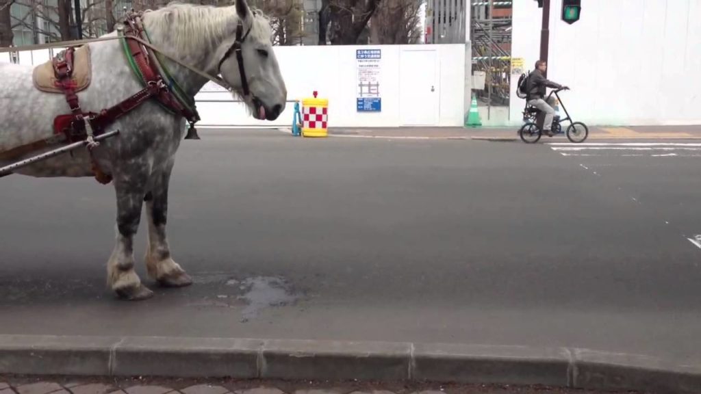 Krit's Hokkaido trip 03-03