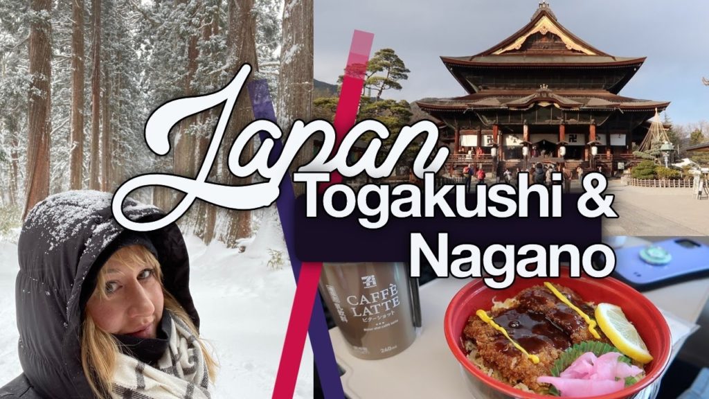 Togakushi Shrine in the Snow & Short Trip to Nagano! Japan Jan 2020 | thisNatasha | Tree Corridor Togakushi Shrine in the Snow & Short Trip to Nagano! Japan Jan 2020 | thisNatasha | Tree Corridor