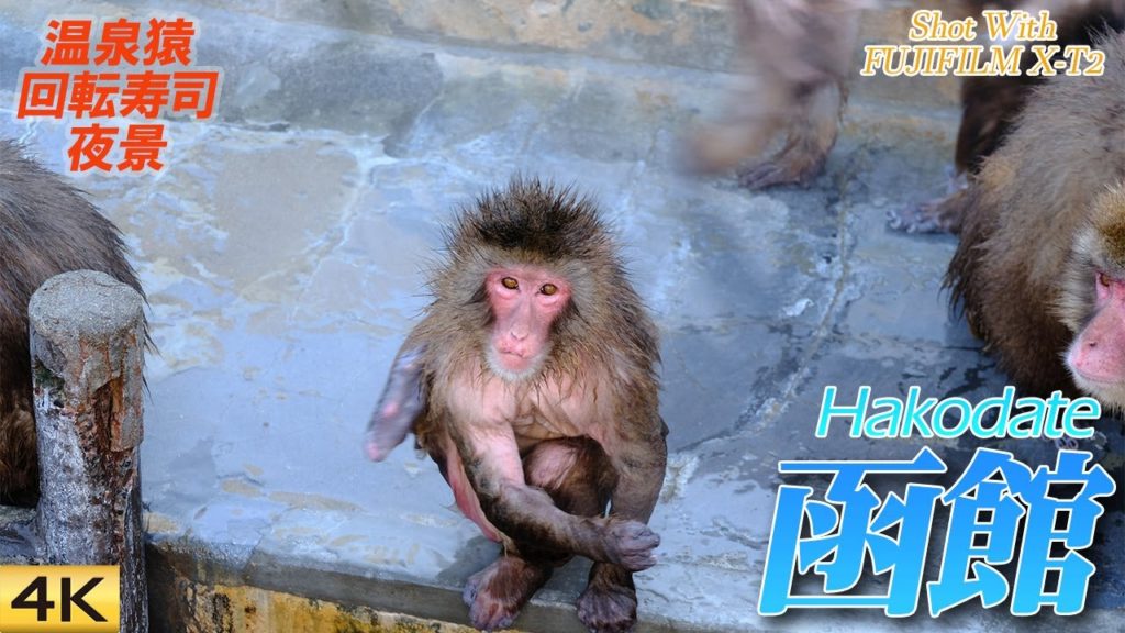 【函館】温泉猿も楽しい冬の函館の思い出 Memory Of Hakodate in winter, Hokkaido, Japan 【函館】温泉猿も楽しい冬の函館の思い出 Memory Of Hakodate in winter, Hokkaido, Japan