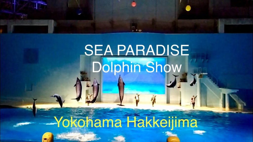 Yokohama’s Hakkeijima Sea Paradise Dolphin Show