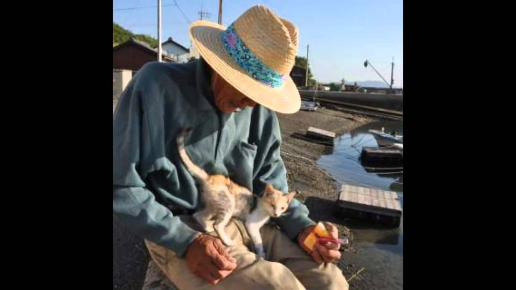 Japan Trip: People and Cats living in Harmony on Takamijima Island, Kagawa Prefecture, Shikoku Japan Trip: People and Cats living in Harmony on Takamijima Island, Kagawa Prefecture, Shikoku