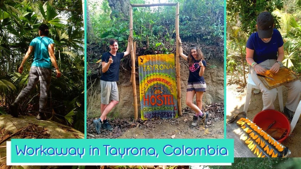 My experience doing Workaway in Colombia - Travel with Glow