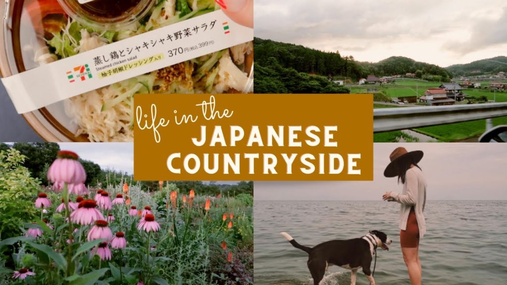 NIGHTTIME FLOWER FARM, ROAD TRIP, GLASS BEACH, and 7-ELEVEN SNACK HAUL