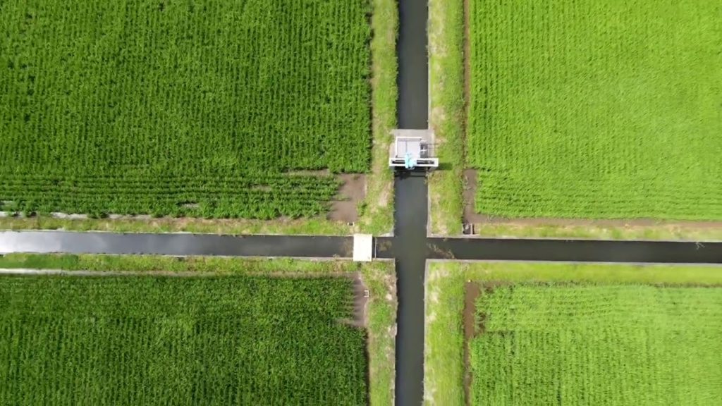 [Drone View] Mavic mini Kagoshima Minamisatsuma Oura Rice Fild