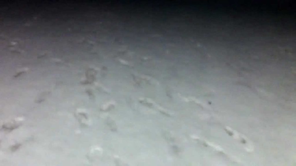 AkitaVlog #14 – Snow in Akita and AIU AkitaVlog #14 - Snow in Akita and AIU