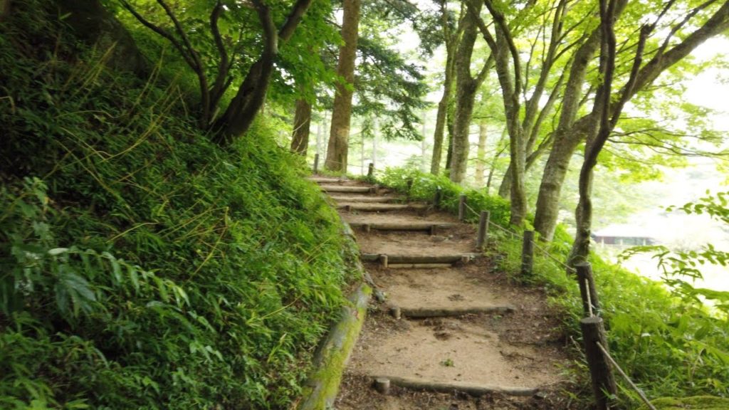 【4K/60fps】Nature Walk - Rokko Alpine Botanical Garden(Rain) in KOBE