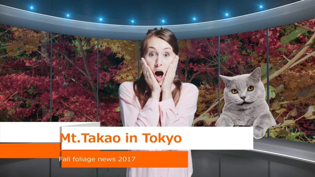 JAPAN TRIP NEWS; Top-notch Mt.TAKAO in TOKYO and the latest fall foliage 2017. JAPAN TRIP NEWS; Top-notch Mt.TAKAO in TOKYO and the latest fall foliage 2017.