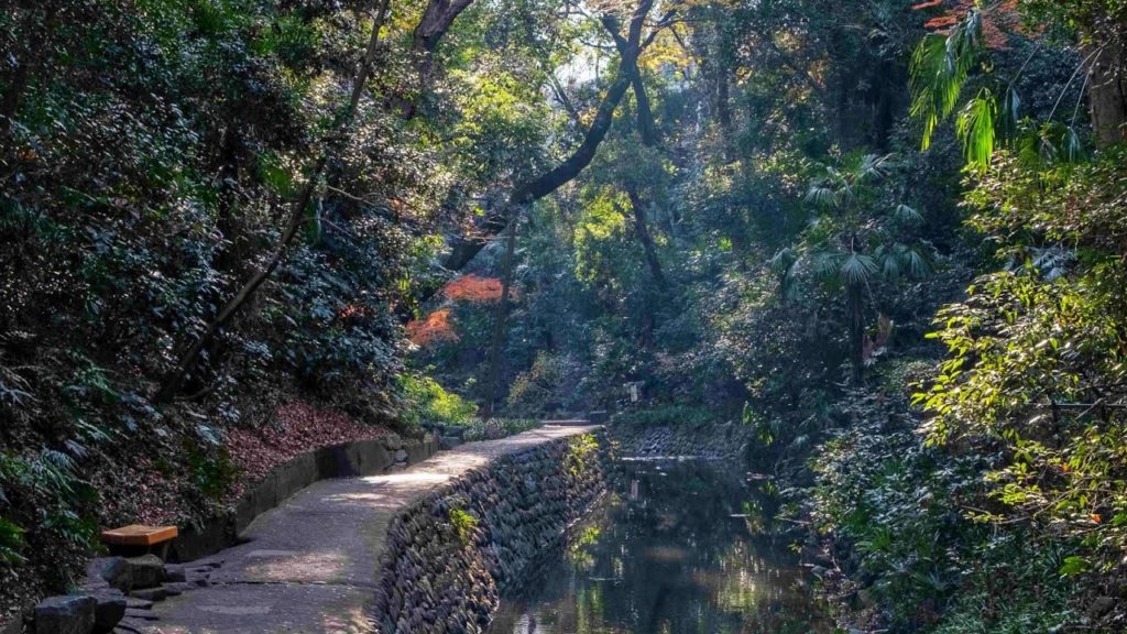 4K Tokyo Walk – Todoroki – Local Streets and a Beautiful Ravine – 等々力渓谷 4K Tokyo Walk - Todoroki - Local Streets and a Beautiful Ravine - 等々力渓谷