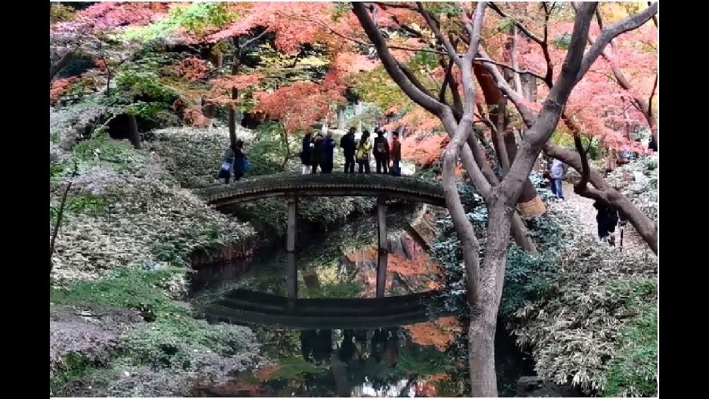Tokyo and Mt Fuji 2018