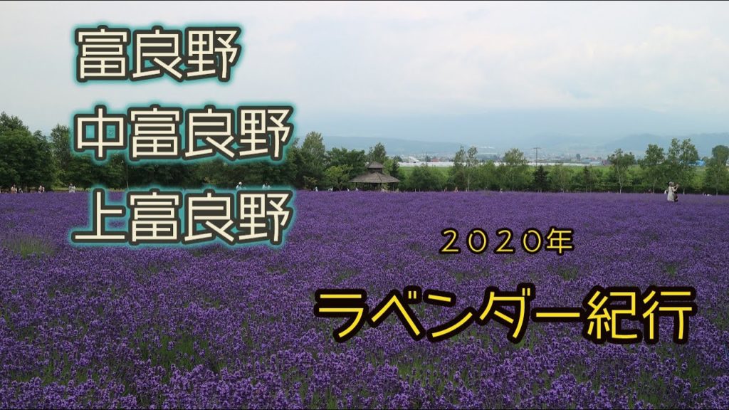 【北海道観光】富良野・中富良野・上富良野ラベンダー紀行
