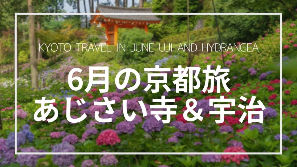 【6月の京都旅】あじさい寺と宇治を巡る旅｜三室戸寺 抹茶 世界遺産