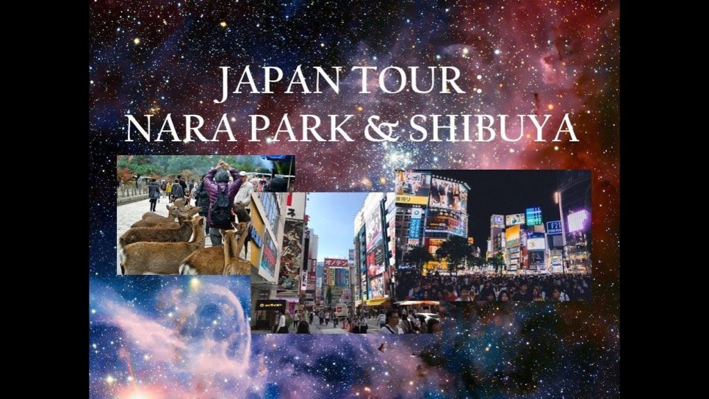 Japan Tour : Nara Park & Shibuya