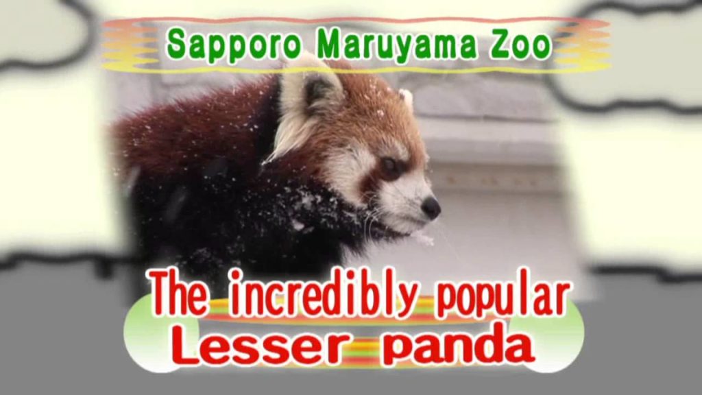 Ｓａｐｐｏｒｏ　Ｍａｒｕｙａｍａ　Ｚｏｏ