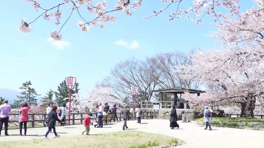 Kirschblütenfest Hanami in Hirosaki  Aomori /  Japan