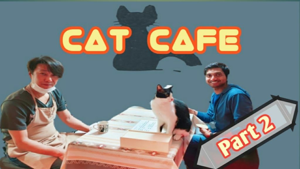 Part 2|जपान मधले मांजराचे पाळणाघर कसे असतात|Visiting a Japanese cat cafe in Japan|