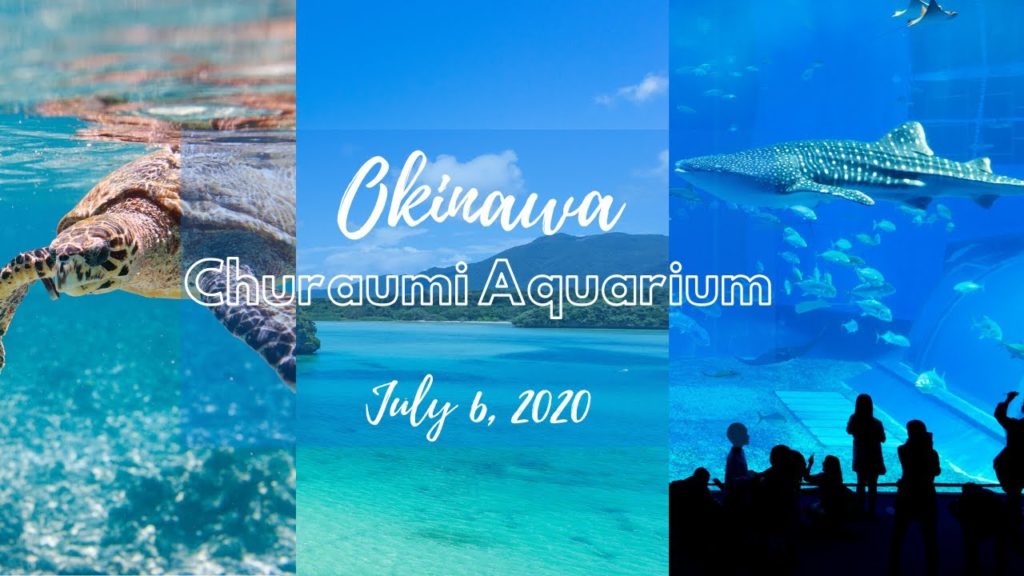 OKINAWA CHURAUMI AQUARIUM