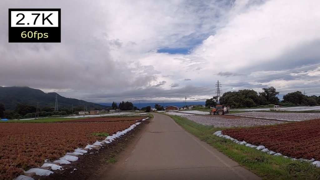 【Driving Japan】御代田と佐久を結ぶのどかな県道 長野r156　Nagano Prefectural Route 156