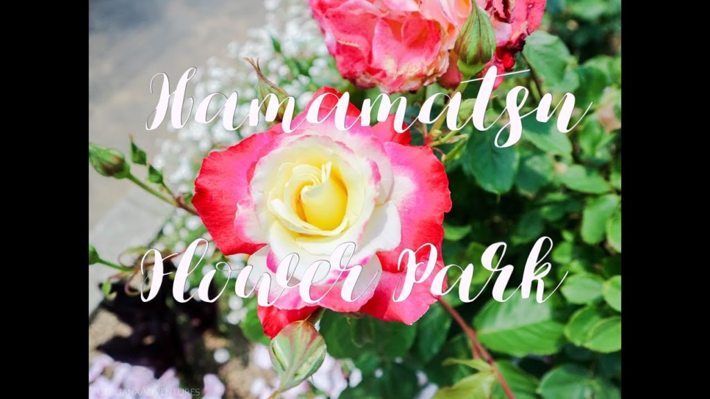 Japan Days 4 & 5 - Almost Missing the Bullet Train! || CEBUANA ADVENTURES