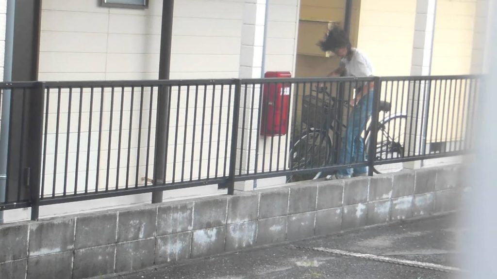 Tropical Storm Man-yi hits Japan