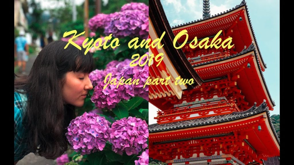 A 5-star Uber Rickshaw || Japan Trip part 2: Kyoto to Osaka