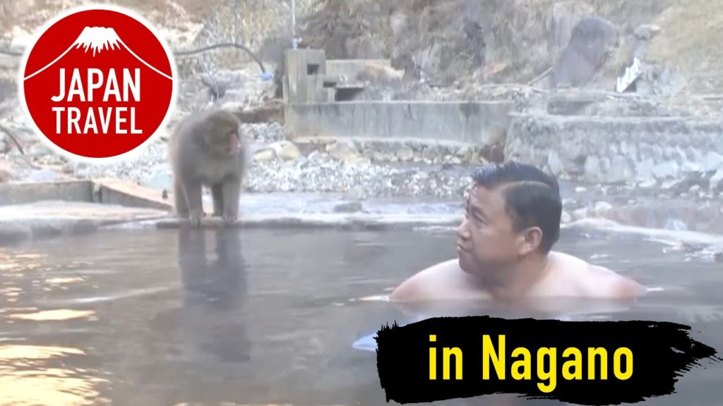 Japan Travel Nagano - JIGOKUDANI HOT SPRING KORAKUKAN