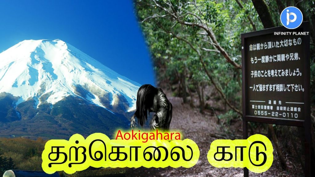 தற்கொலை காடு Aokigahara suicide forest